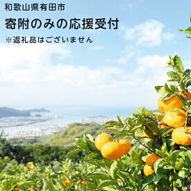 【ふるさと納税】和歌山県有田市 寄附のみの応援受付（返礼品なし） 10,000円（A00-1）