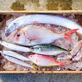 【ふるさと納税】漁師の鮮魚箱（約2kg）(A669-1)