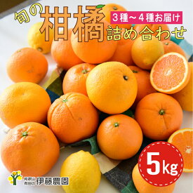 【ふるさと納税】特選 旬の柑橘詰め合わせ 5kg（A882-1）