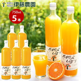 【ふるさと納税】伊藤農園 100％ピュアジュース　不知火しぼり 大瓶5本セット(A608-3)