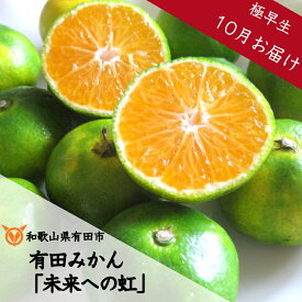 【ふるさと納税】◇10月お届け◇厳選 有田みかん「未来への虹」5kgまたは10kg(A233-2)送料無料 産地直送 フルーツ 果物 本場 和歌山 有田 有田市 ありだ みかん 甘酸っぱい 甘い 酸味 濃厚 凝縮 極早生（ごくわせ） ふるさと 応援 寄附 先行予約