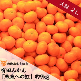 【ふるさと納税】大粒・2L 有田みかん「未来への虹」約9kg（A240-1）送料無料 産地直送 フルーツ 果物 てんこ盛り てんこもり 本場 和歌山 有田 有田市 ありだ みかん 幸せの連鎖 甘い 濃厚 凝縮 コク ジューシー 2L ふるさと 応援 寄附 先行予約