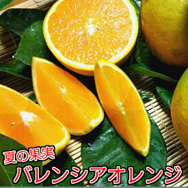 【ふるさと納税】数量限定：有田市生まれのバレンシアオレンジ（5kg）（A212-1）