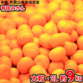 楽天市場 ふるさと納税 みかんの通販 楽天市場 ふるさと納税 みかんの通販