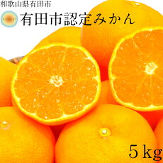 楽天市場 ふるさと納税 ジャンル別お礼の品ランキング みかん