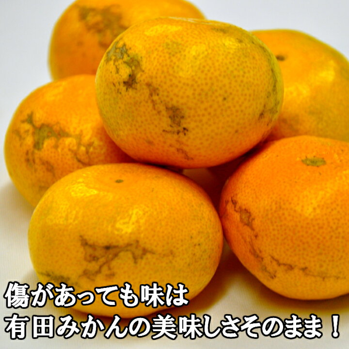 楽天市場】【ふるさと納税】有田みかん「風のしるし」訳あり 訳アリ 10kg 送料無料 産地直送 ご自宅用 ご家庭用 フルーツ 果物 本場 和歌山 有田 有田市 ありだ みかん 甘い 濃厚 コク ジューシー S M L s m l 先行予約 : 和歌山県有田市 楽天市場】【ふるさと納税】有田みかん「風のしるし」訳あり 訳アリ 10kg 送料無料 産地直送 ご自宅用 ご家庭用 フルーツ 果物 本場 和歌山 有田 有田市 ありだ みかん 甘い 濃厚 コク ジューシー S M L s m l 先行予約 : 和歌山県有田市