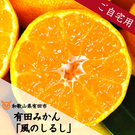 【ふるさと納税】 ★本場有田市産★ 訳あり 有田みかん「風のしるし」 5kg 10kg 送料無料 産地直送 甘い 小粒 濃厚 ジューシー フルーツ 果物 家庭用向け 人気 有田産 温州みかん コスパ抜群 高評価 和歌山県有田市 （A241-2）