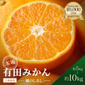 【ふるさと納税】 ★本場有田市産★ 訳あり 有田みかん「風のしるし」 5kg 10kg 送料無料 産地直送 甘い 小粒 濃厚 ジューシー フルーツ 果物 家庭用向け 人気 有田産 温州みかん コスパ抜群 高評価 和歌山県有田市 （A241-2）