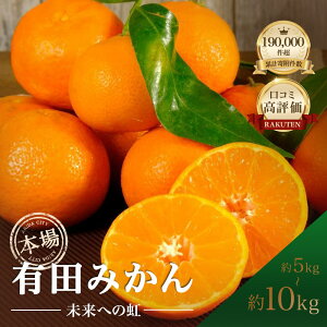 【ふるさと納税】★本場有田市産★ 有田みかん 「未来への虹」 5kg 10...
