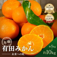 【ふるさと納税】★本場有田市産★ 有田みかん 「未来への虹」 5kg 10...