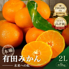 今季:1/21入金分迄発送 【ふるさと納税】★本場有田市産★ 有田みかん「未来への虹」 2Lサイズ 約9kg （10kg 未満） 送料無料 産地直送 大粒 大玉 本場 温州みかん 甘い 濃厚 コク ジューシー フルーツ 柑橘 果物 家庭用 ギフト 贈答用 人気 和歌山 有田市