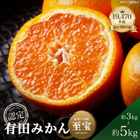 【ふるさと納税】★2026年先行予約★ 認定 有田みかん「未来への虹 至宝」3kg 5kg S M L サイズ 日本初自治体認定 みかん フルーツ 送料無料 産地直送 甘い 濃厚 糖度 コク ジューシー 本場 和歌山 ブランド柑橘 果物 フルーツ ギフト 贈答用 家庭用 和歌山 有田市 (A1-2)