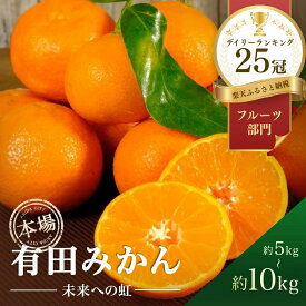 【ふるさと納税】★ランキング1位獲得★ 有田みかん 「未来への虹」 5kg 10kg SS S M L みかん フルーツ 果物 ランキング 人気 甘い 濃厚 送料無料 産地直送 糖度あり 小玉 大玉 柑橘 ギフト 贈答用 家庭用 高評価 返礼品 訳あり でない 和歌山県有田市 年内配送（A2-2）