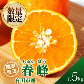 【ふるさと納税】春峰（しゅんぽう）5kg 濃厚 柑橘 フルーツ 果物 くだもの みかん 人気 おすすめ 送料無料 国産 和歌山 有田市【2026年2月下旬から順次お届け】（A138-1）