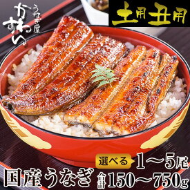【ふるさと納税】 【 楽天うなぎ部門13年連続第1位！】うなぎ 国産 鰻 蒲焼き 選べる1〜5尾（150~750g）〈 うなぎ屋 かわすい 〉 グルメ大賞連続受賞 特製タレ付 送料無料 高評価 人気 ギフト 贈り物 お歳暮 御歳暮 丑の日 お中元 特産品 和歌山県 有田市