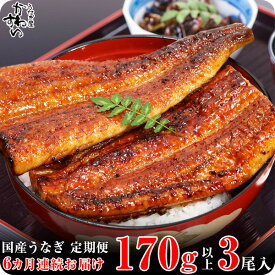 【ふるさと納税】【定期便】〈うなぎ屋かわすい〉国産うなぎ蒲焼き特大サイズ3本セット（6ヶ月お届け）(A585-1)国産 うなぎ 蒲焼き 国産うなぎ うなぎ蒲焼き