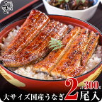 〈うなぎ屋かわすい〉国産うなぎ蒲焼き大サイズ2本セット 和歌山県 有田市 特産品 お取り寄せ グルメ ふるさと納税 うなぎ(kw-247)(A247-1)