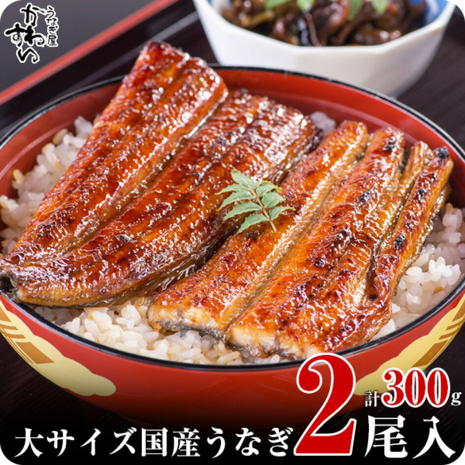 【楽天市場】【ふるさと納税】〈うなぎ屋かわすい〉国産うなぎ蒲焼き大サイズ2本セット 和歌山県 有田市 特産品 お取り寄せ グルメ ふるさと納税 うなぎ(kw-247) : 和歌山県有田市 【楽天市場】【ふるさと納税】〈うなぎ屋かわすい〉国産うなぎ蒲焼き大サイズ2本セット 和歌山県 有田市 特産品 お取り寄せ グルメ ふるさと納税 うなぎ(kw-247) : 和歌山県有田市