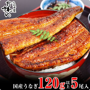 yӂ邳Ɣ[ŁzqȂ킷rYȂ(1{F120`149g) a̎R Lcs Yi  O ӂ邳Ɣ[ Ȃ