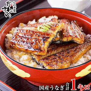 国産 うなぎ 1kgの人気商品 通販 価格比較 価格 Com 国産 うなぎ 1kgの人気商品 通販 価格比較 価格 Com