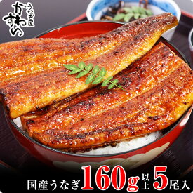 【ふるさと納税】ボリューム満点！大サイズ国産うなぎ蒲焼き5本セット