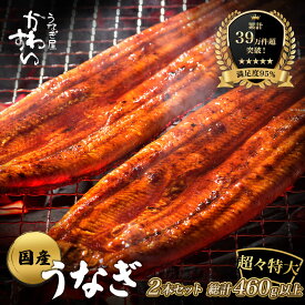 【ふるさと納税】【楽天うなぎ部門13年連続第1位！】 超特大 うなぎ 国産 鰻 蒲焼き 2本セット（1尾230g以上）〈 うなぎ屋 かわすい 〉 送料無料 肉厚 ふっくら 蒲焼き 高評価レビュー 人気 ギフト 贈答用 お歳暮 土用丑の日 父の日 和歌山県 有田市 （A632-2）