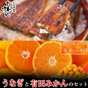 �y�ӂ邳�Ɣ[�Łz�y�R���{�z���Y���Ȃ����Ă���T�C�Y2�{�Z�b�g���L�c�݂���u�����ւ̓��v�i5kg�j �_���Ȃ��̊̋z���̓��T�t���^�~�J�� ���� �a�̎R ���� ��� �t���[�c �ʕ� ���k �����p