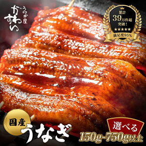 yӂ邳Ɣ[ŁzyyVȂ13NA1ʁIz Y Ȃ V Ă 2i150`169gjq Ȃ 킷 r OܘA ^t  ] lC Mtg 蕨 