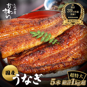 �y�ӂ邳�Ɣ[�Łz�y�y�V���Ȃ�����13�N�A����1�ʁI�z ������ ���Y ���Ȃ� �V ���Ă� 5�{�Z�b�g ���v1kg�q ���Ȃ��� ���킷�� �r �������� ���r���[ ���]�� �l�C �{�����[�����_ �����p ���Ε� 