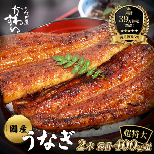 �y�ӂ邳�Ɣ[�Łz�y�y�V���Ȃ�����13�N�A����1�ʁI�z ������ ���Y ���Ȃ� �V ���Ă� 2�{�Z�b�g�i1��200�`229g�j�q ���Ȃ��� ���킷�� �r �������� �{�����[�����_ ���� ���]�����r���[ �l�C �M