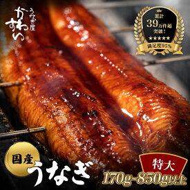 【ふるさと納税】【楽天うなぎ部門13年連続第1位！】 国産 うなぎ 鰻 蒲焼き 特大サイズ（170〜199g）〈 うなぎ屋 かわすい 〉 送料無料 専門店 秘伝タレ付 高評価 レビュー 人気 ギフト 贈答用 お歳暮 御歳暮 土用丑の日 父の日 お取り寄せ 和歌山県 有田市