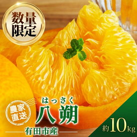 【ふるさと納税】八朔 はっさく 約10kg はっさく 柑橘 酸味 甘み バランス フルーツ 果物 くだもの みかん 人気 おすすめ 送料無料 国産 和歌山 有田市（A137-1）