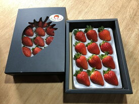 【ふるさと納税】特選 大粒いちご「まりひめ」2箱（A154-2）