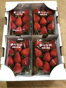 �y�ӂ邳�Ɣ[�Łz�a�̎R�̂����� �u�܂�Ђ߁v4�p�b�N�iA153-1�j