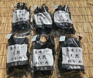 yӂ邳Ɣ[ŁzLc̓VR킩35g×6܁iA276-1j