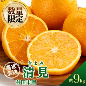 【ふるさと納税】【先行予約受付中！】清見オレンジ 清見 約9kg 清見みかん きよみ 産地直送 濃厚 柑橘 フルーツ 果物 くだもの みかん 人気 おすすめ レビュー高評価 ギフト 贈答 送料無料 国産 和歌山 有田市 【2026年2月下旬より順次発送】（A136-1）