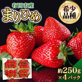 【ふるさと納税】★1月も順次発送★ いちご まりひめ 約250g×4パック 和歌山 苺 イチゴ 産地直送 濃厚 甘い フルーツ 果物 くだもの 人気 おすすめ 送料無料 国産 和歌山県有田市（A153-1）