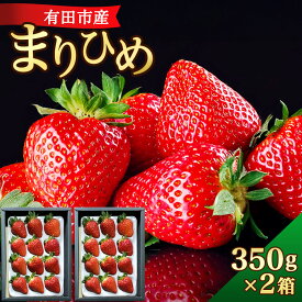 【ふるさと納税】★1月も順次発送★ 特選 いちご まりひめ 大粒 約350g×2箱 和歌山 苺 産地直送 濃厚 甘い フルーツ 果物 くだもの 人気 おすすめ 送料無料 国産 和歌山県有田市【12月中旬から順次お届け】 （A154-2）