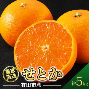 �y�ӂ邳�Ɣ[�Łz�y�N���\���t���I�z ���Ƃ� ��5kg �݂��� �Z�� �Â� ���k ��g�� �t���[�c �ʕ� �������� �l�C �������� ���r���[���]�� �M�t�g ���� �������� ���Y �a�̎R �L�c�s�y2026�N2