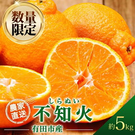 【ふるさと納税】【先行予約受付中！】不知火 しらぬい 5kg デコポン 同品種 産地直送 5キロ 濃厚 甘い 柑橘 フルーツ 果物 くだもの みかん 人気 おすすめ レビュー高評価 ギフト 贈答 お取り寄せ 送料無料 国産 和歌山 有田市【2026年2月中旬より順次発送】（A68-1）