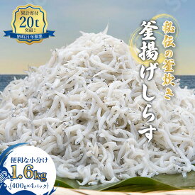 【ふるさと納税】満足度94%超！ しらす 釜揚げ しらす干し 400g×4パック （1.6kg） 送料無料 小分け 大容量 ご飯のおとも ちりめん おすすめ 人気 冷凍 保存 国産 和歌山県 有田市　(A535-2)