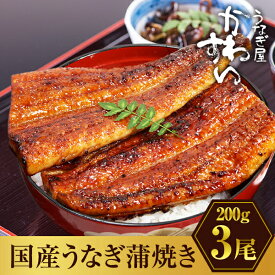 【ふるさと納税】【楽天うなぎ部門13年連続第1位！】 超特大 うなぎ 国産 鰻 蒲焼き 3本セット(1尾：200~229g)〈 うなぎ屋 かわすい 〉 送料無料 ボリューム満点 お歳暮 御歳暮 土用丑の日 ギフト 母の日 父の日 特産品 和歌山県 有田市 （A1175-1）