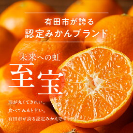 【ふるさと納税】 有田市認定みかん「未来への虹」至宝【日本初自治体認定フルーツ】(A1-2) 日本初 自治体 認定 送料無料 産地直送 フルーツ 果物 本場 和歌山 ありだ みかん 幸せの連鎖 甘い 濃厚 コク S M L ふるさと 応援 寄附 おすすめ 国産 先行予約