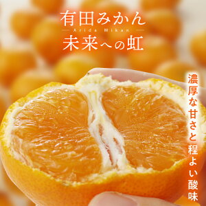 【ふるさと納税】★本場有田市産★ 有田みかん 「未来への虹」 5kg 10...