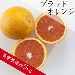 �y�ӂ邳�Ɣ[�Łz�u���b�h�I�����W�iA143-1�j