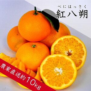 �y�ӂ邳�Ɣ[�Łz�g����i�ׂɂ͂������j�iA146-1�j