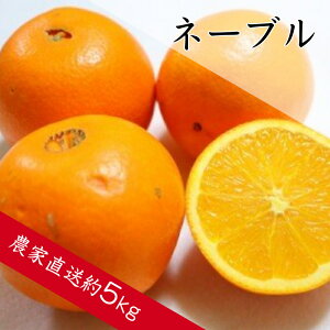 yӂ邳Ɣ[Łzl[u IWi5kgjZ Â k t[c ʕ  ݂ lC   Y a̎R Lcsy2026N2{菇ziA139-1jiA360-1j