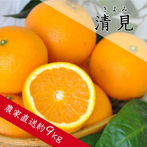 yӂ邳Ɣ[ŁzyN\tIzi݁j9kg IW Z k t[c ʕ  ݂ lC  r[] Mtg  oX  Y a