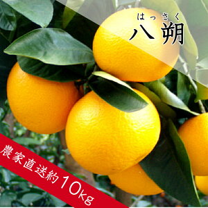 yӂ邳Ɣ[Łzi͂jiA137-1j