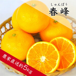 �y�ӂ邳�Ɣ[�Łz�t��i�����ۂ��j�iA138-1�j